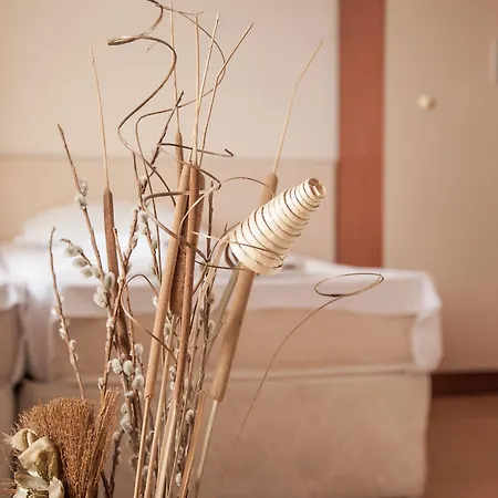 Rainbow 2 Complex 3* ساني بيتش